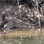 Photo taken by Mohan I