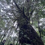 Photo taken by meachumdds@gmail.com M