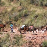 Photo taken by Kent P