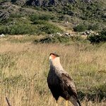 Photo taken by SANDRA V