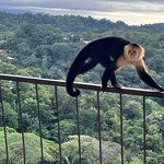 Photo taken by Samantha S