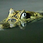 Photo taken by Graeme W