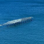 Photo taken by Carmen P