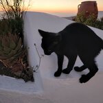 Photo taken by Jennifer L