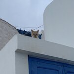 Photo taken by Geoff B