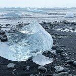 Photo taken by Shalini S