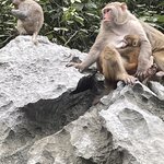 Photo taken by Lindy S