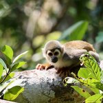 Photo taken by Nicole S