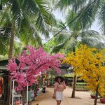 Photo taken by Vinh T