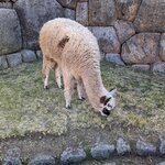 Photo taken by Erica A