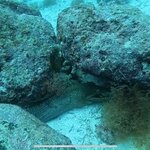 Photo taken by Stephanie A