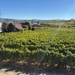 Photo taken by David N