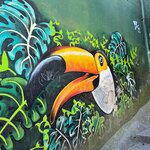 Photo taken by Kelvin V