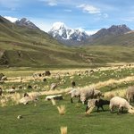 Photo taken by Gareth B