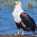 Photo taken by rhonda c