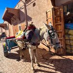 Photo taken by Kris C