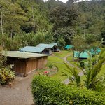 Photo taken by Anne T