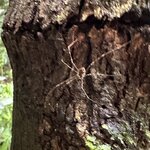 Photo taken by Fuad A