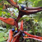 Photo taken by Alexia M