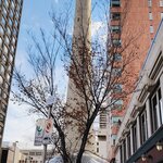 Photo taken by Leonila Q