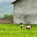 Photo taken by Kelly D