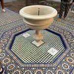 Photo taken by Kaylyn E