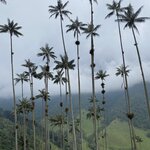 Photo taken by Carine D