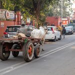 Photo taken by Kristy P