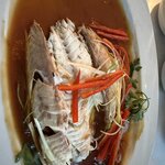 Photo taken by Kristin M