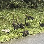 Photo taken by Barb S