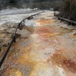 Photo taken by Mary B