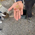 Photo taken by Ora Y