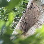 Photo taken by Dana F