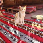 Photo taken by Wendy Q