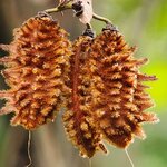 Photo taken by Tenley G