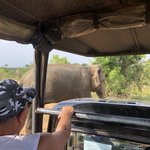 Elephants up close and personal | Photo taken by Karyn R