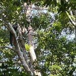 Photo taken by Sarah C