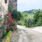 Photo taken by Jennifer D