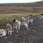 Photo taken by Arundhati G