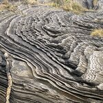 Photo taken by Sharon S