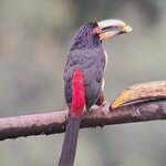 Photo taken by Jayme B