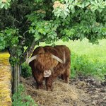 Photo taken by Alicia T