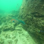 Photo taken by Elise C