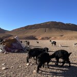 Photo taken by Lia A