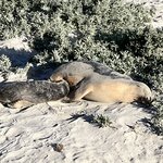 Photo taken by Hari R