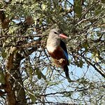 Photo taken by Michael L