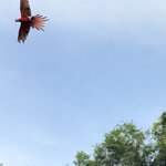 Photo taken by katie u