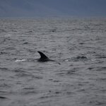 Photo taken by Amanda Z