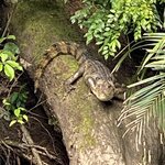 Photo taken by Roveen B