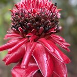 Photo taken by Carrie N